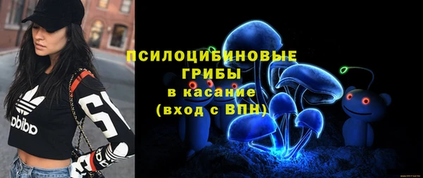 ГАЛЛЮЦИНОГЕННЫЕ ГРИБЫ Горняк