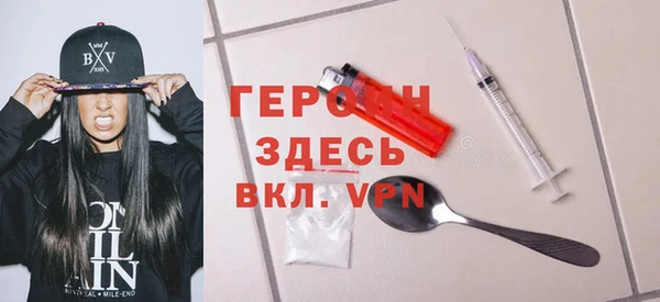 молекула духа Вяземский