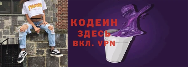 молекула духа Вяземский