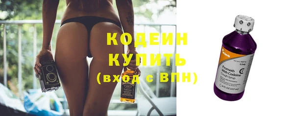молекула духа Вяземский