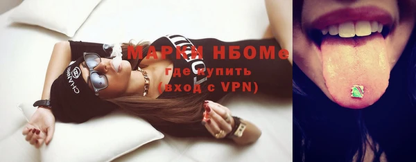 молекула духа Вяземский