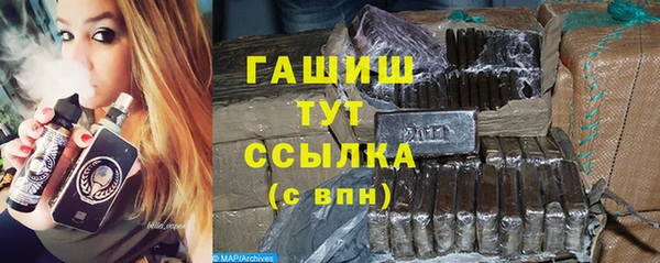 молекула духа Вяземский