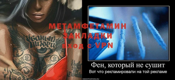 ГАЛЛЮЦИНОГЕННЫЕ ГРИБЫ Горняк