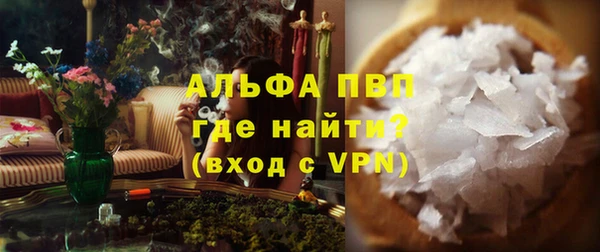 молекула духа Вяземский