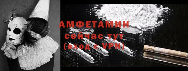 хмурый Верея