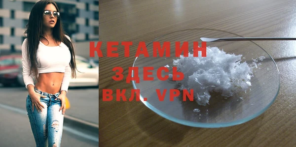 молекула духа Вяземский