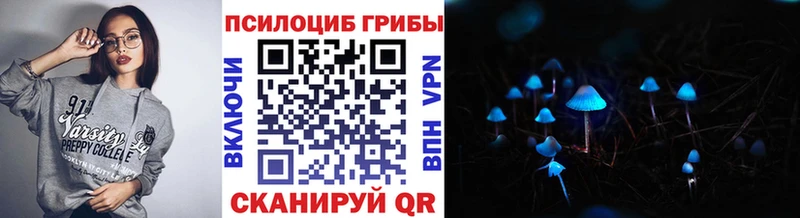 дарнет шоп  Далматово  Псилоцибиновые грибы прущие грибы 